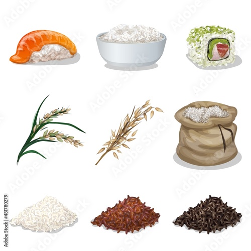 Rice icons set cartoon vector. Healthy flour