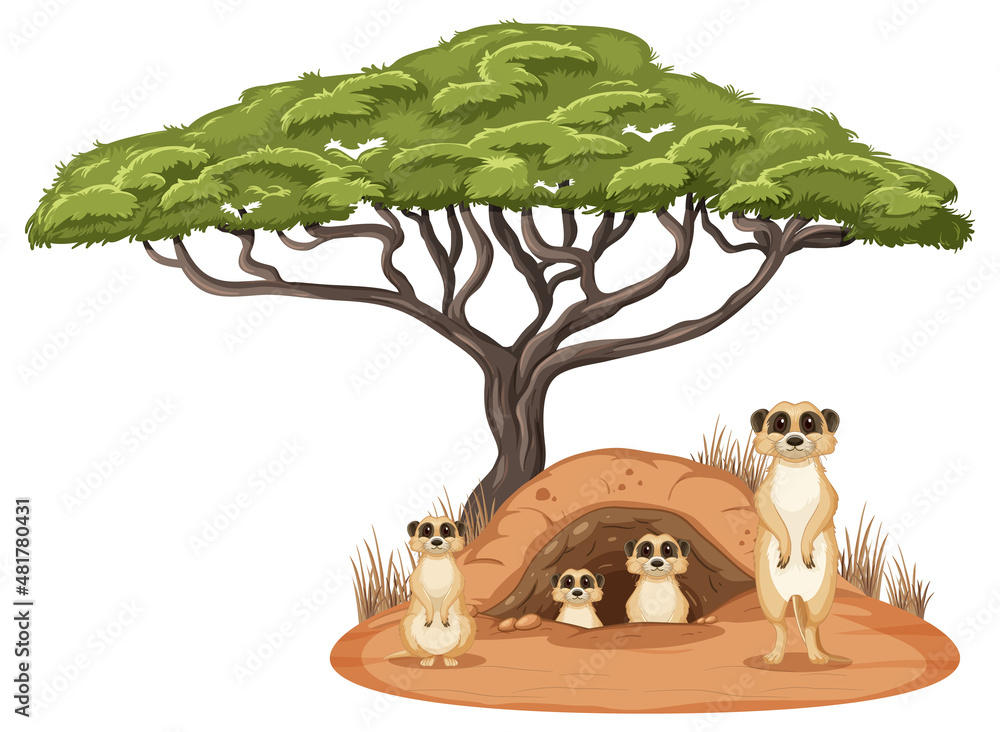 Samolepka Meerkat family in cartoon style