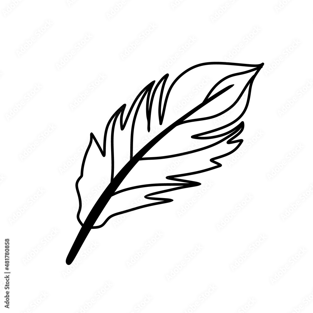 Obraz premium Feather. Magical symbols doodles esoteric boho mystical hand - drawn elements stone crystals . Magical vector elements