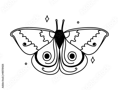 Butterfly. Magical symbols doodles esoteric boho mystical hand - drawn elements stone crystals . Magical vector elements