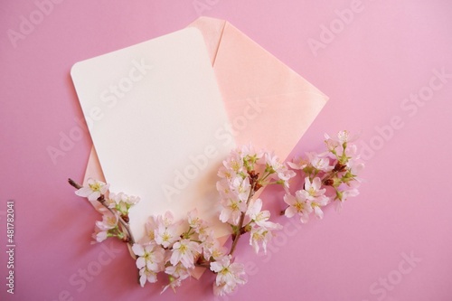 Spring greeting concept. Blank card decoration with Cherry blossoms on pink background. Spring, wedding, event background.  photo