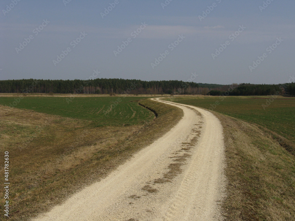 szutrowa droga przez pola