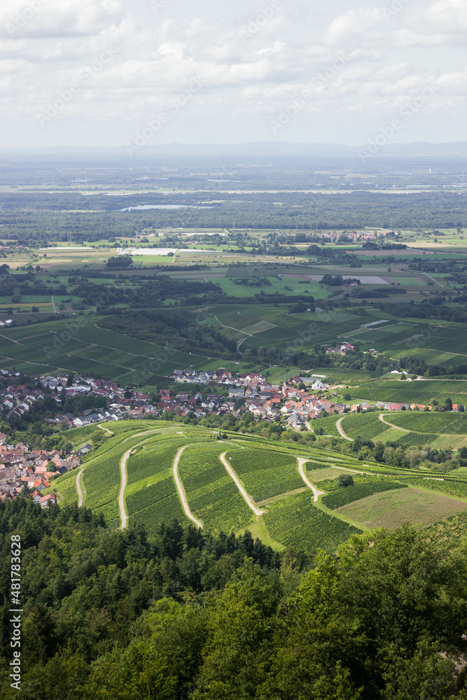 Weinberge, Rheinland, Germany. Typical German Landscape in Southern Germany in Summer.