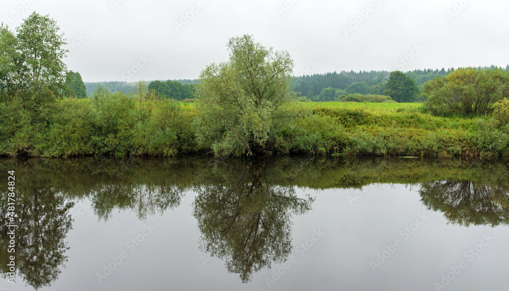 Fototapeta premium Daylight on a river, trees reflection in water. Summer landscape