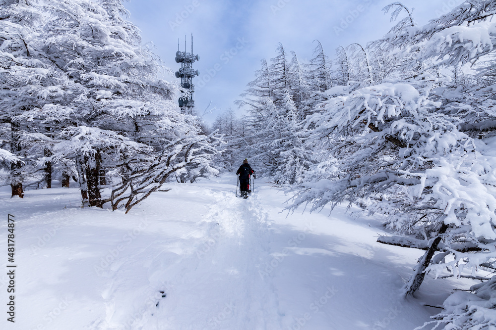 真冬の美ヶ原スノーハイク