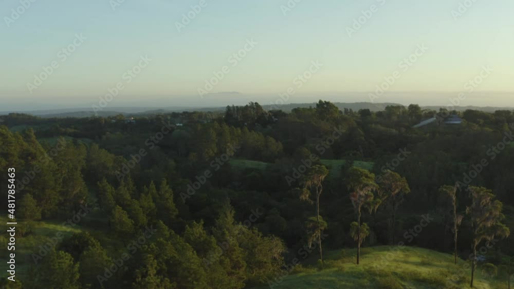 Aerial flying forward over lush vegetation in rural area at sunset, Sajoma Aerial flying forward over lush vegetation in rural area at sunset, Sajoma
