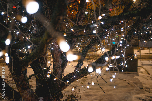 Oświetlone drzewo  © Piotr Gaborek 