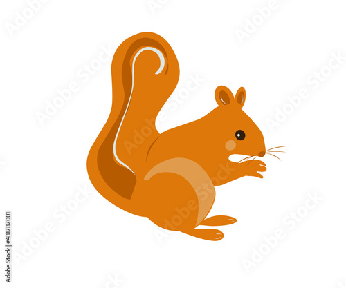 vector squirrel in a flat and cartoon style on a white background. a simple illustration of a red squirrel animal