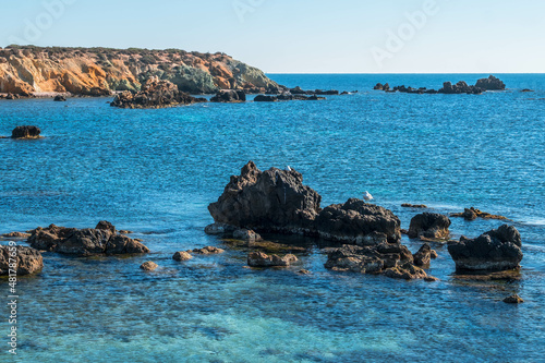 The rocky coast of the ancient island of Tabarca, in the Spanish Mediterranean, in front of Santa Pola, Alicante photo