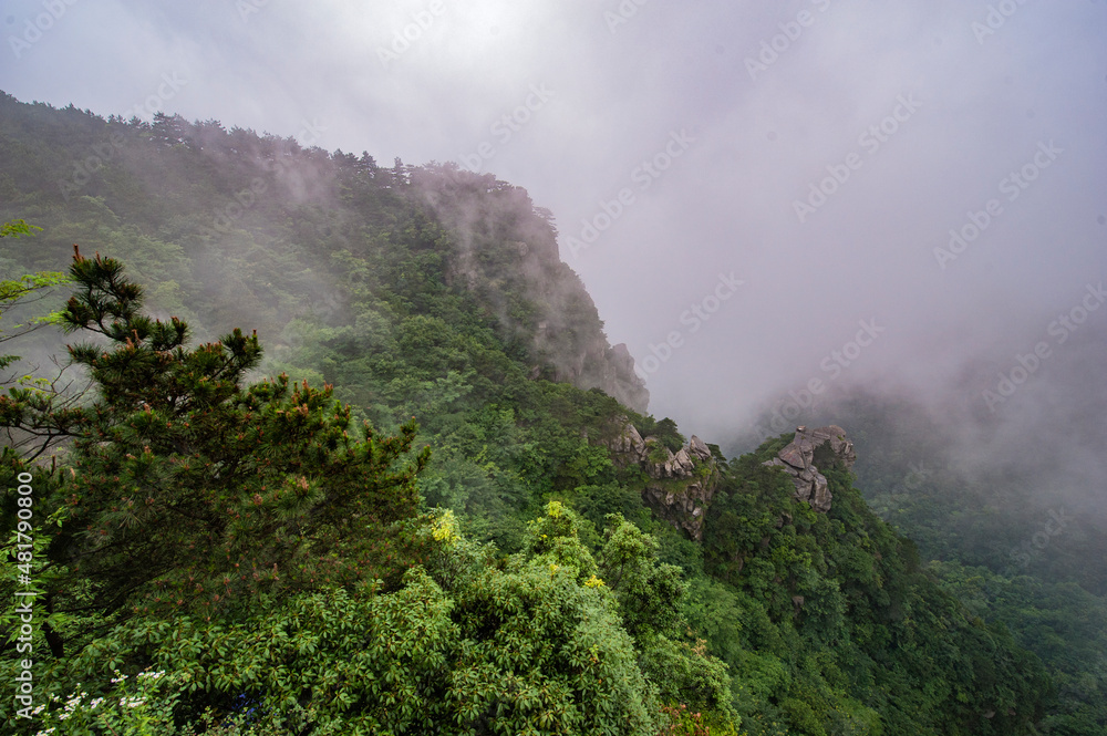 Chinese Lushan Landscape in Fog