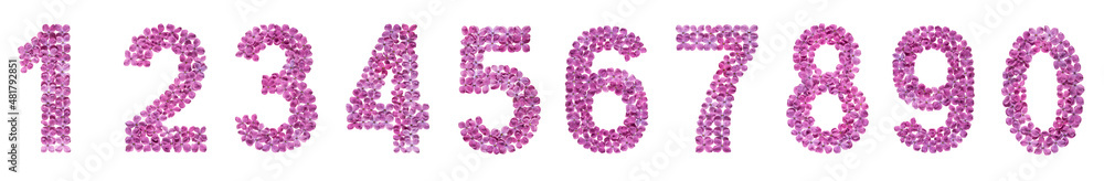 Set of arabic numbers, natural flowers of lilac, isolated on white background