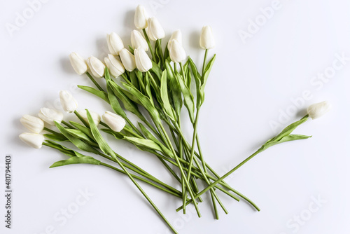 White tulips on white background. Valentines Day  Mothers day  Birthday  spring time. Celebration concept. Greeting card  template. Copy space  flat lay.