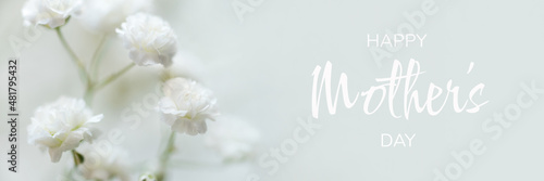 White flowers of the gypsophila. Gentle spring background.