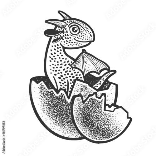 dragon hatched from egg sketch engraving vector illustration. T-shirt apparel print design. Scratch board imitation. Black and white hand drawn image.
