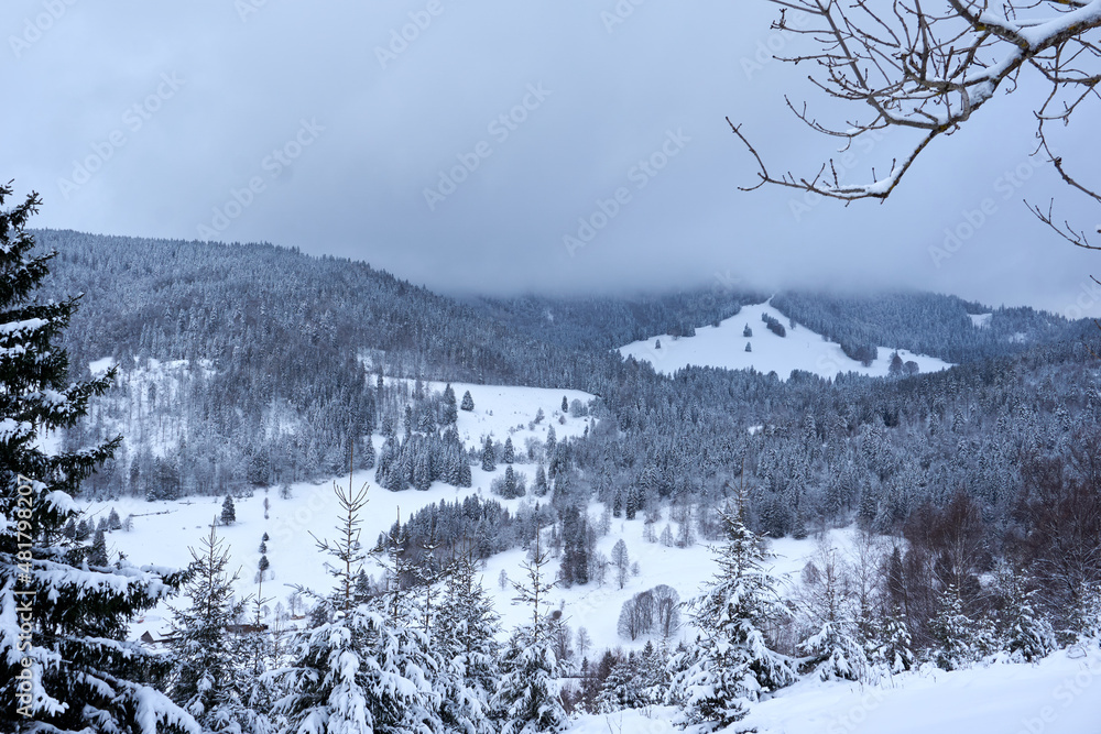 panorama winter landscape feldberg black forest germany panorama winter landscape feldberg black forest germany
