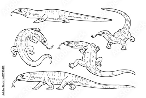 hand drawn vector set of lizard.