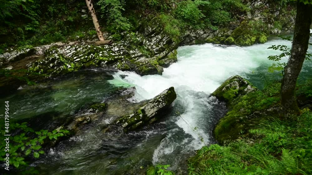 Clear mountain stream rapids with green blue water in the forest Clear mountain stream rapids with green blue water in the forest