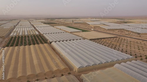 Drone flight of greenhouses and date palm trees in Paran 'moshav', a type of cooperative agricultural community with individual farms found in Israel
 photo