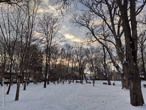 Apus  de soare in parcul din   Bistrita,Romania in januarie 2022 photo
