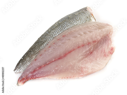 Grey Gilthead Seabream Fillet isolated on white Background