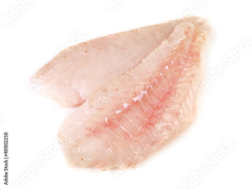 Red Dragon Head Fish Fillet isolated on white Background