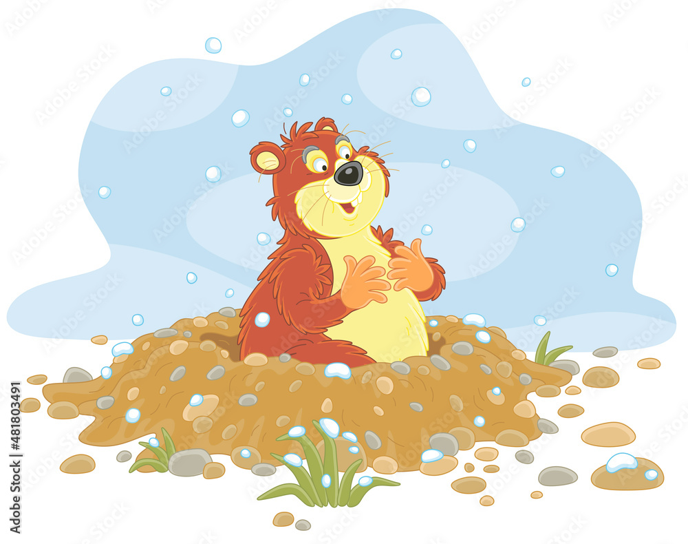 Funny fat groundhog with chubby cheeks looking out of its burrow on a cold winter day, vector cartoon illustration isolated on a white background Funny fat groundhog with chubby cheeks looking out of its burrow on a cold winter day, vector cartoon illustration isolated on a white background