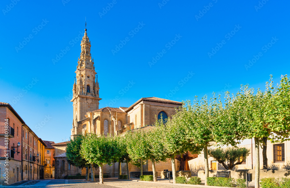view of the cathedral of Santo Domingo de La Calzada, La Rioja, Spain