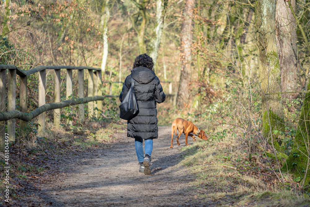 Meine Frau und unser Hund beim Waldspaziergang!