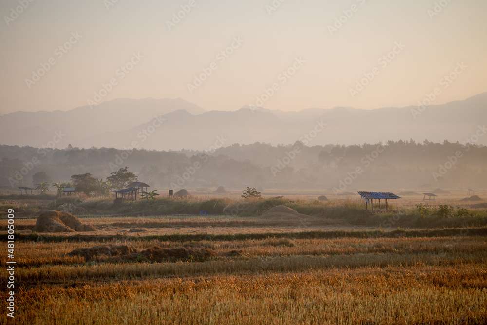 Obraz premium beautiful background images.