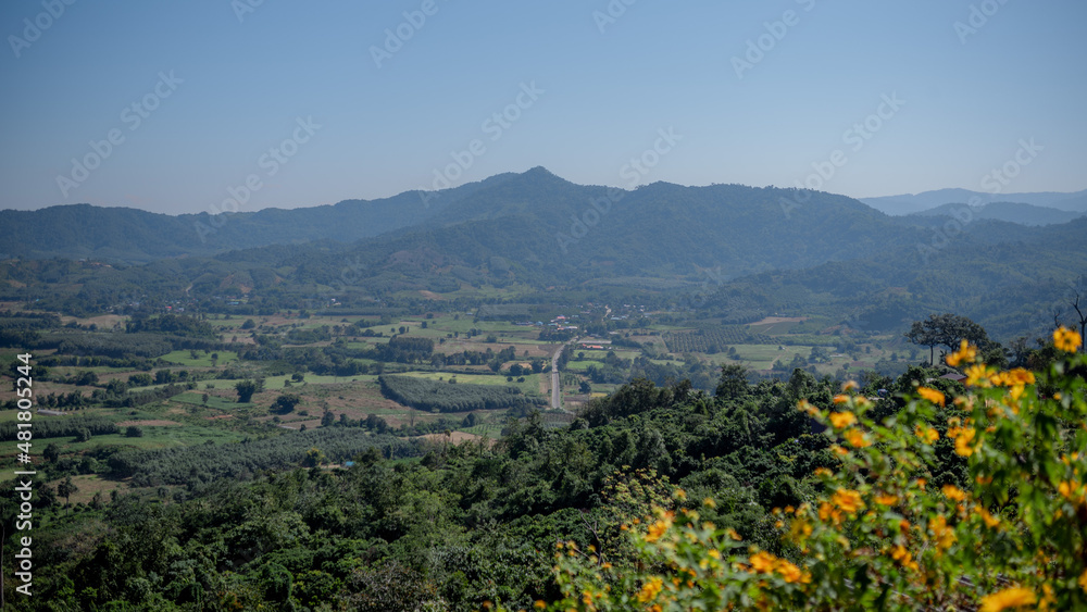 Obraz premium beautiful background images.