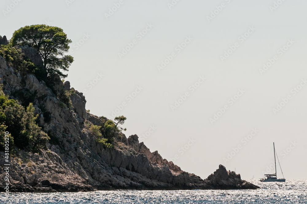 Naklejka premium Sailing boat passing the cap with pine trees in Adriatic sea