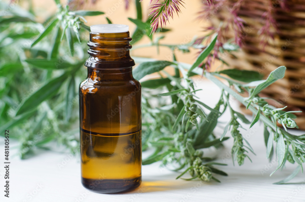 Small bottle with essential wormwood oil (extract, tincture, infusion). Aromatherapy, spa and herbal medicine concept. Copy space. Small bottle with essential wormwood oil (extract, tincture, infusion). Aromatherapy, spa and herbal medicine concept. Copy space.