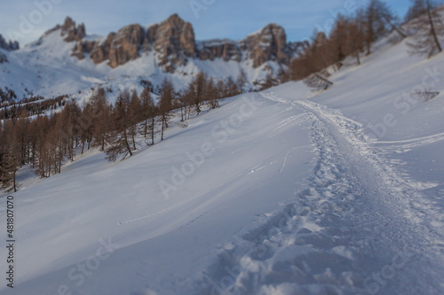Tilt shift effect of beaten path in the snow in the middle of larch forest with dolomite peaks out of focus background . San Vito di Cadore, Dolomites, Italy