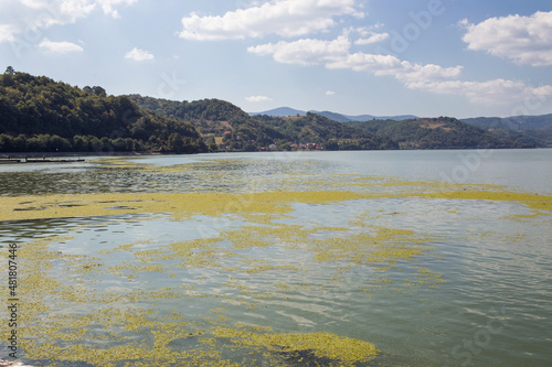 Fototapeta Naklejka Na Ścianę i Meble -  Danube river with hills along the coast and algae on the water surface.