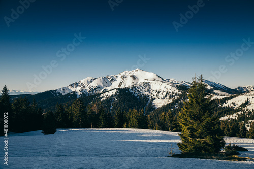 Winter mountains snow, coniferous forest, spring, snow-covered meadow