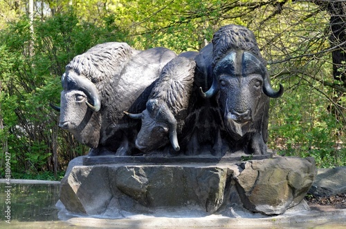 Photography Tierpark Friedrichsfelde