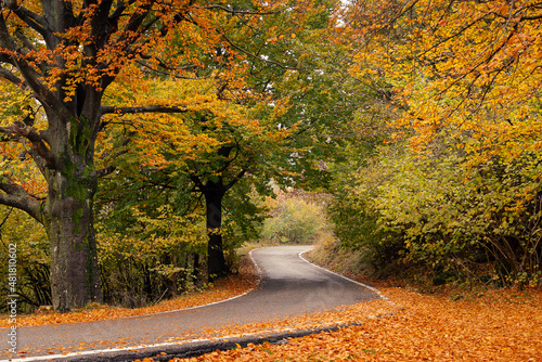 Curved road in the middle of an orange autumn forest. Metaphorical image that indicates the need to find 