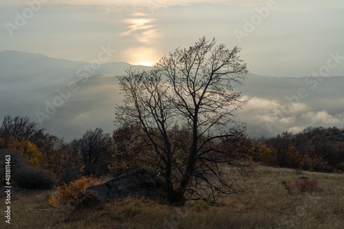 View of the Black Sea from the top of South Demerdzhi Mountain