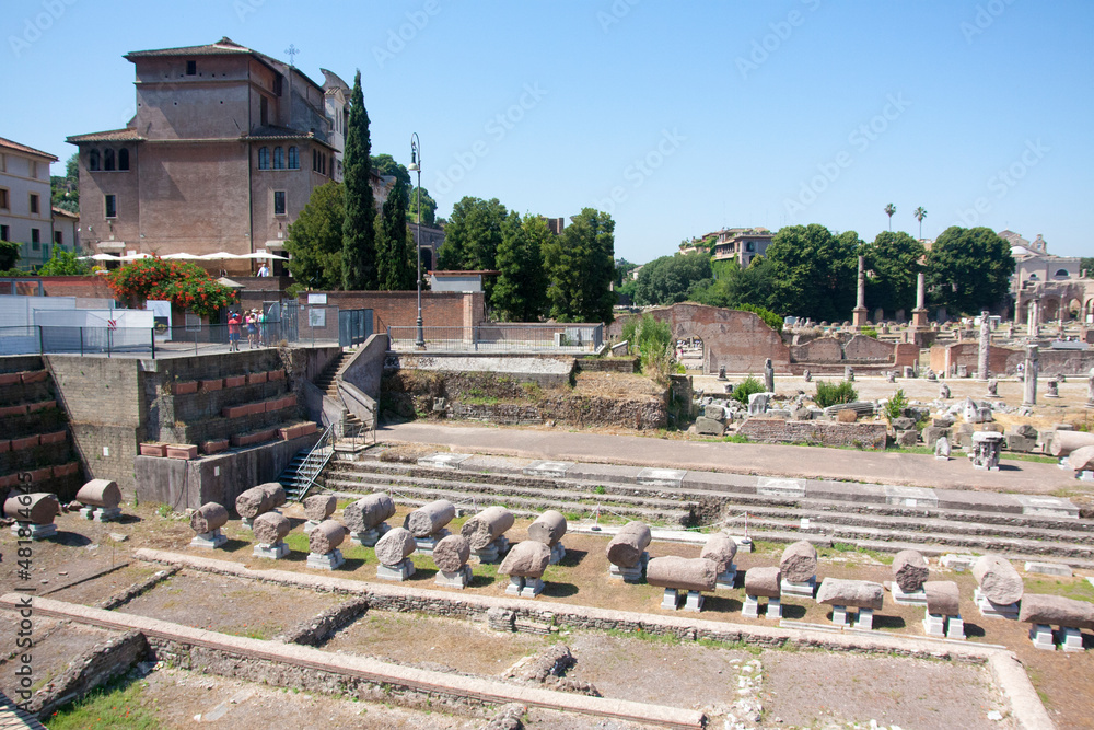 Fototapeta premium Rome, Italy - June 17 2013:Rome Forum