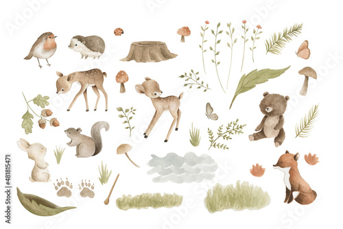 Woodland Animals watercolor forest illustration baby illustration