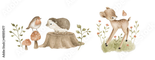 Woodland Animals watercolor forest illustration baby illustration photo