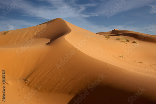 Sand dunes in the Wahiba desert