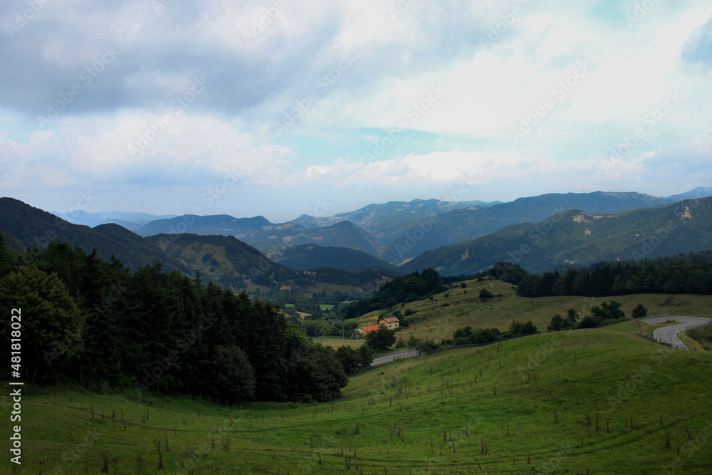 A mountain range and a green valley. A green meadow descends towards a coniferous forest. Down in the valley a farm is hidden, cows are around. A road on the right goes down to the valley.