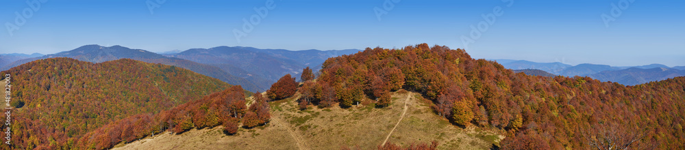 Panorama of the Carpathian mountains in autumn. The yellowed foliage of the forest blends nicely with the blue sky