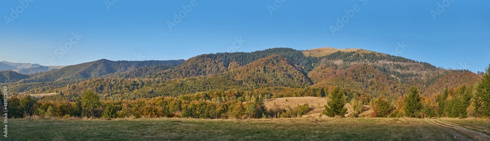 Panorama of the Carpathian mountains in autumn. The yellowed foliage of the forest blends nicely with the blue sky Panorama of the Carpathian mountains in autumn. The yellowed foliage of the forest blends nicely with the blue sky