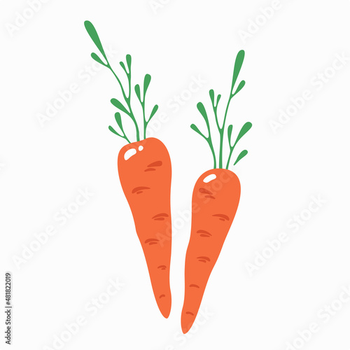 Carrot icon isolated on white background. Vector illustration.