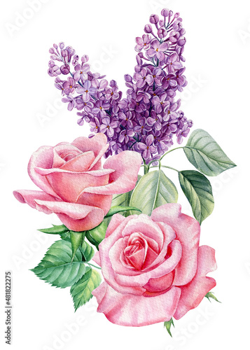 Peony, rose, lilac flowers, buds and leaves on white background, watercolor illustration, floral bouquet