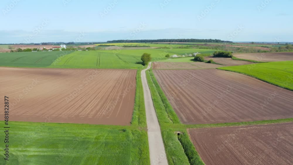 Small country road through meadows and agricultural fields, Germany Small country road through meadows and agricultural fields, Germany