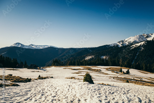 Winter mountains in the snow, coniferous forest, spring, snowy meadow