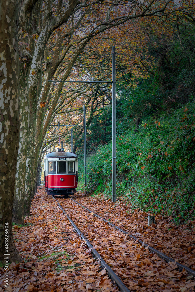Naklejka premium Vintage tram to Macas beach from Sintra in autumn landscape. Portugal